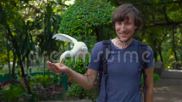 一个年轻人在鸟公园里玩得很开心用手喂白鹭视频的预览图