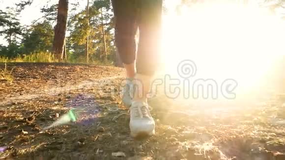 散步树森林运动鞋女孩阳光运动视频的预览图