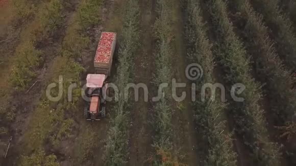 一辆拖车载着苹果的拖拉机视频的预览图
