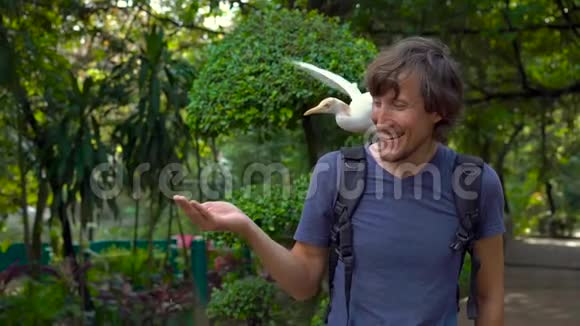 一个年轻人在鸟公园里玩得很开心用手喂白鹭视频的预览图