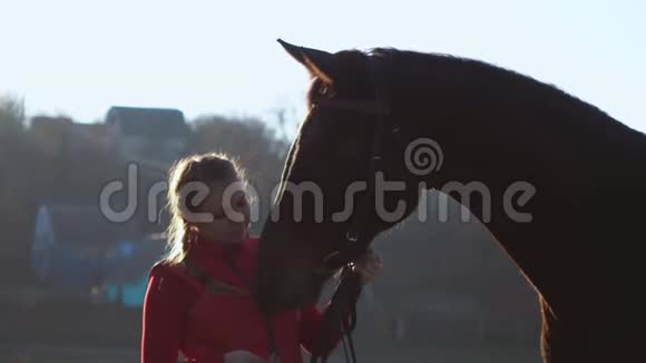 有一只手的女孩喂养一匹马并抓住它是有原因的慢动作视频的预览图