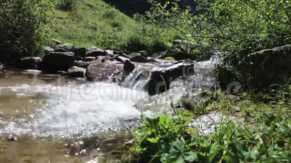 旅游女孩从一条山河喝水视频的预览图