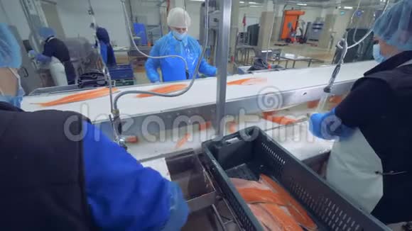 工人清理鱼片收口视频的预览图