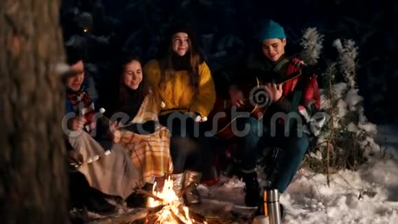 一群快乐的朋友坐在冬天的森林里吃着棉花糖一个弹吉他的年轻人视频的预览图