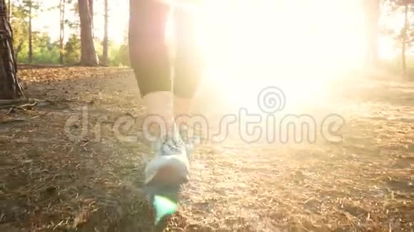 散步树森林运动鞋女孩阳光运动视频的预览图