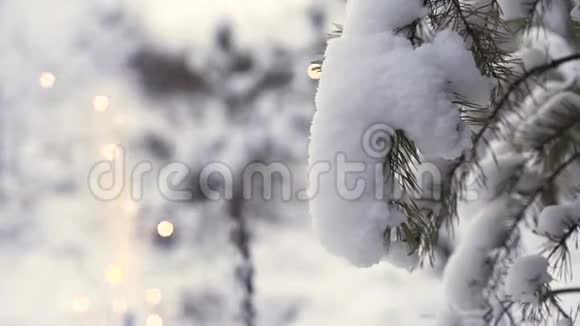 为白雪皑皑的树枝背景上闪烁着模糊的烟花圣诞节的概念艺术冬季视频的预览图