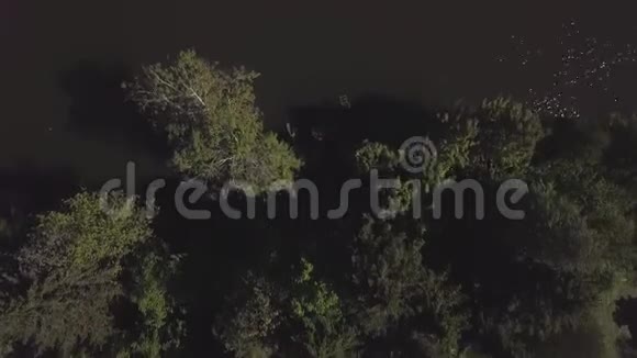绿水木墩和绿树成荫从飞行无人机看风景剪辑在特雷斯的空中俯瞰码头视频的预览图