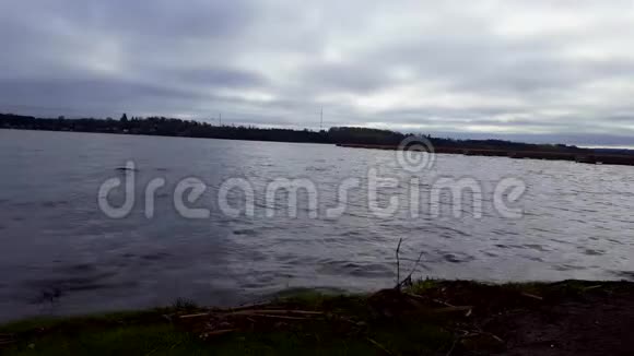 夏日阴云密布的湖面阴暗的湖畔景色笼罩着乌云视频的预览图