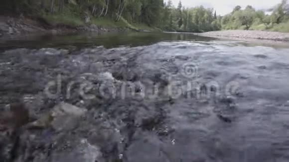 在绿色的森林背景下靠近冰冷清新的河流底部有石质库存录像清澈的河水夏天视频的预览图