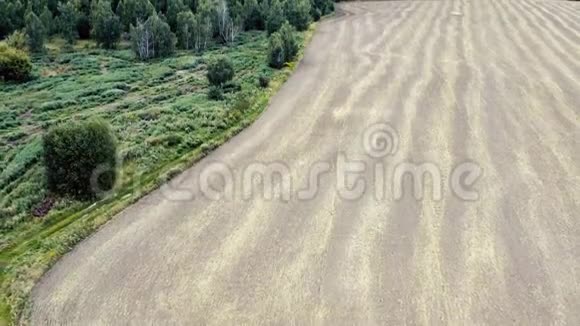 秋季的农业麦田和森林从无人驾驶飞机上俯瞰视频的预览图