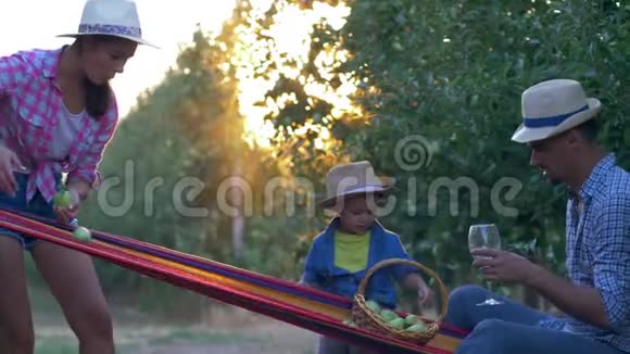 收获水果快乐的园丁家庭在苹果花园的吊床上放松视频的预览图