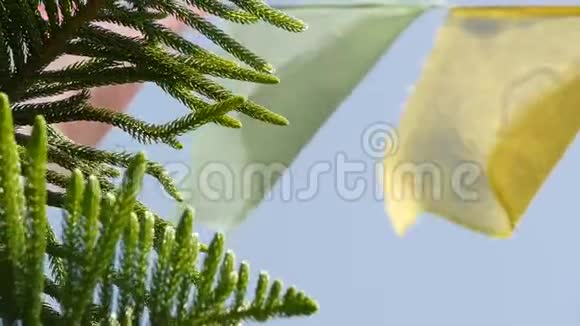 在阳光下挥舞着五颜六色的祈祷旗在阳光下悬挂在绿树上的祈祷旗尼泊尔视频的预览图