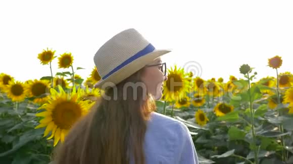 农村的暑假戴着眼镜戴着草帽的少年在阳光明媚的阳光下漫步在开花的向日葵的田野上视频的预览图