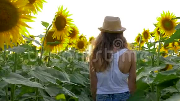 乡村暑假女孩在野外欣赏乡村美景背光中有向日葵视频的预览图