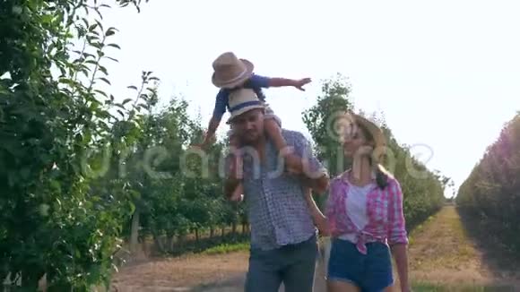 农村工作幸福的农民家庭在花园的篮子里从树上摘苹果视频的预览图