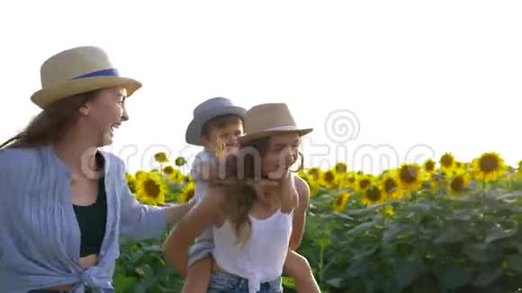 孩子们在背光下散步快乐的兄弟姐妹在田野上和向日葵一起享受新鲜空气视频的预览图