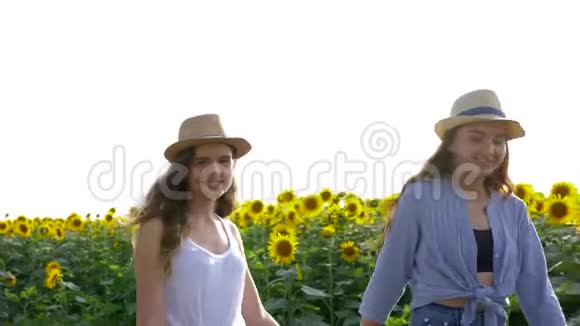 快乐的时光美丽的女孩在收获时戴着帽子在黄色的向日葵田上散步视频的预览图