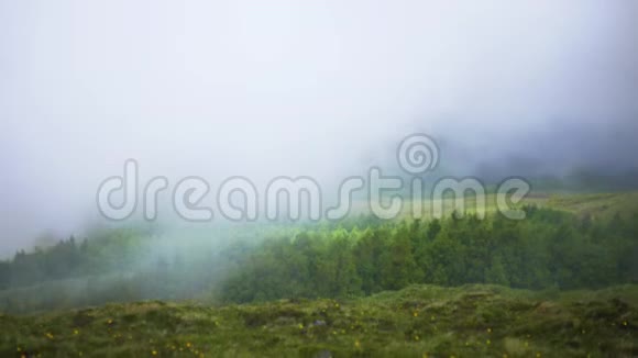 田野里的树木在群山中的云中摇曳视频的预览图