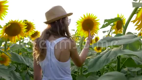 青少年在暑假收获时在阳光下欣赏向日葵的美丽视频的预览图