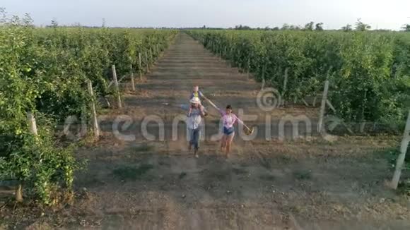 农场农村有孩子的夫妻在苹果园的一排排地奔跑视频的预览图