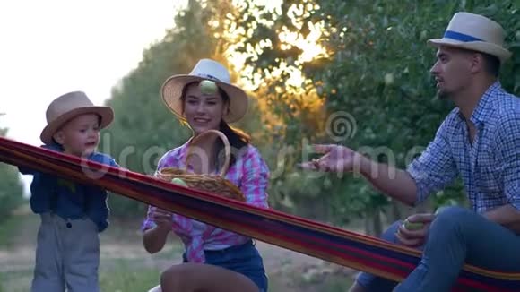 收获季节年轻的家庭农民戴着草帽和格子衬衫在花园的吊床上和小儿子玩苹果视频的预览图