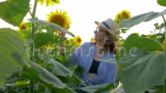 农耕生活美丽的少年与向日葵一起在阳光下享受清新的空气视频的预览图
