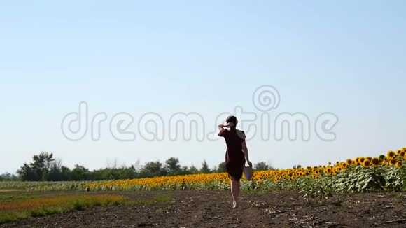 穿着连衣裙和草帽的女孩靠近向日葵的田野一个年轻的女人手里拿着一顶帽子视频的预览图