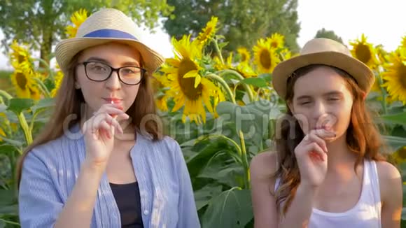 快乐的少女们吃着甜美的棒棒糖在黄色田野上带着向日葵微笑视频的预览图