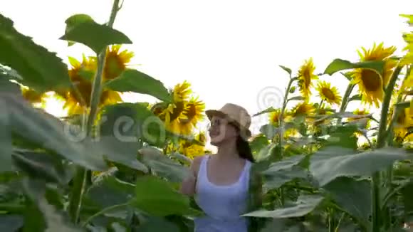微笑的少女戴着眼镜和草帽穿过一片盛开的向日葵的田野视频的预览图