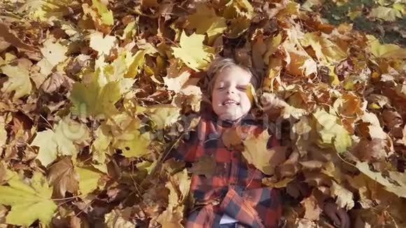当几片树叶落在他身边时男孩跳进了一堆树叶视频的预览图