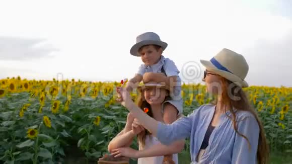 孩子们在户外散步的时候喜欢吃棒棒糖向日葵戴着草帽一起在户外散步视频的预览图
