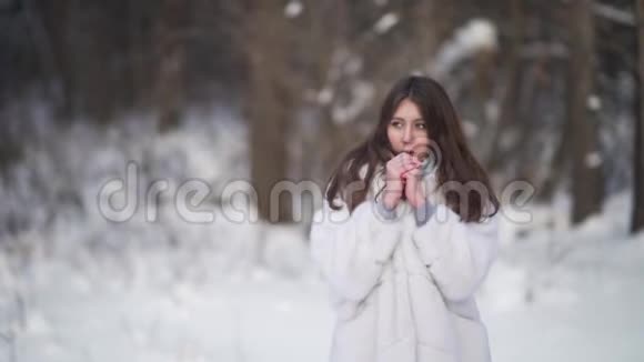 美丽的女人试图在冬天的森林里用呼吸温暖她冰冷的手天气晴朗寒冷视频的预览图
