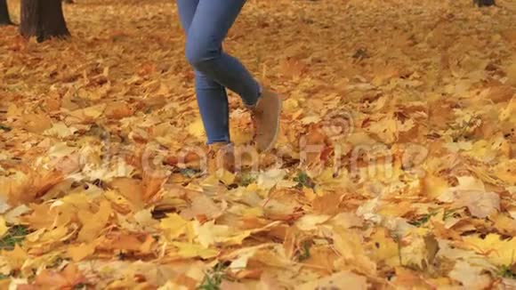 雌鸟的腿向上伸展在公园里跳跃着金色的秋叶视频的预览图