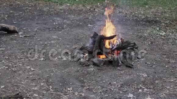 火烧柴烧炭视频的预览图