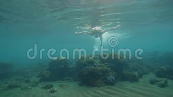 戴着面具和浮潜的年轻女人在蓝色的海洋里水下游泳穿比基尼和浮潜面罩在海洋中游泳的女人视频的预览图