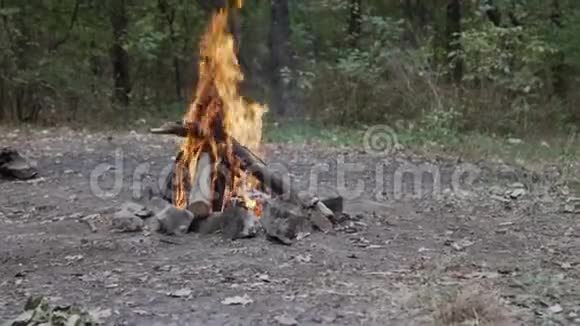 火烧柴烧炭视频的预览图