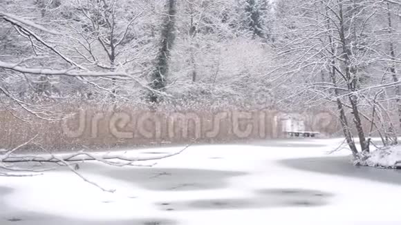 一片美丽的冬原有着一片长满芦苇和冰冻的湖泊视频的预览图