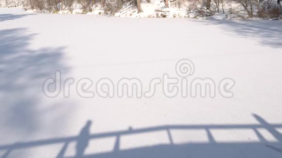 一对夫妇在雪地上的影子视频的预览图