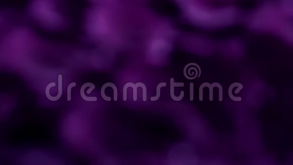 抽象紫罗兰花背景水中花瓣视频的预览图