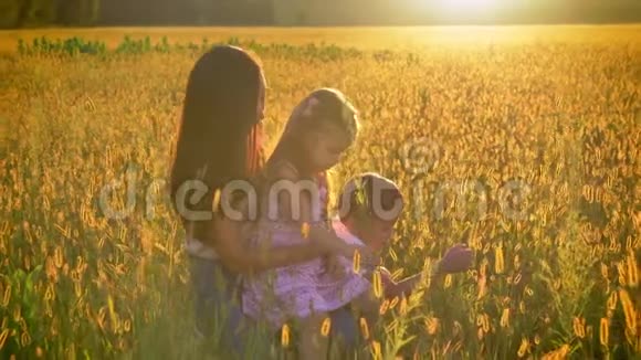 亚洲母亲带着孩子夏天走在田野里坐在麦子里女儿坐在母亲腿上一家人视频的预览图