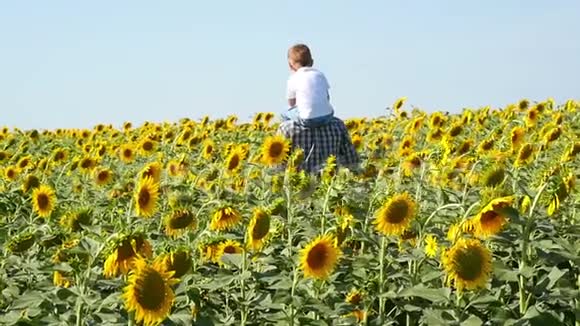 一个农夫带着他的儿子穿过向日葵的田野视频的预览图