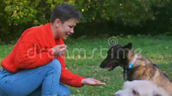 一个年轻的女人正在公园里和她的狗玩视频的预览图