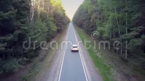 白色汽车沿着柏油路行驶巨大的森林阴影视频的预览图