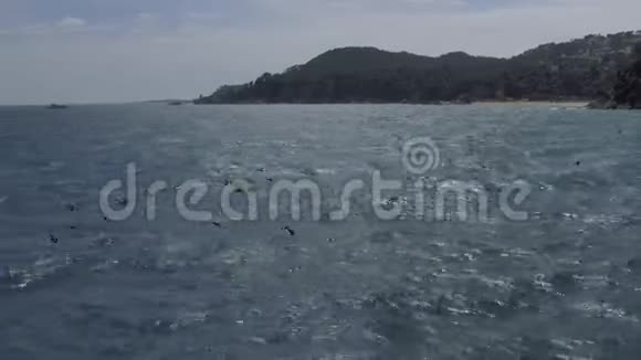 西班牙夏季地中海上的LloretdeMar飞行视频的预览图