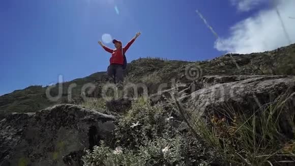 年轻快乐的托利斯特女人带着背包和帽子到达山顶把他的手放在空中正面观点视频的预览图