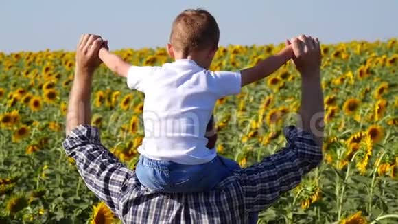 父亲把儿子抱在肩上走过一片向日葵的田野幸福的农民家庭视频的预览图