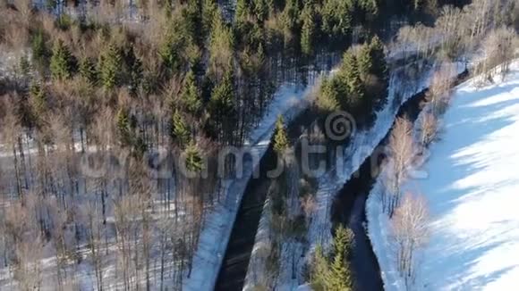 大溪流在森林与雪在早晨空中镜头4k视频的预览图