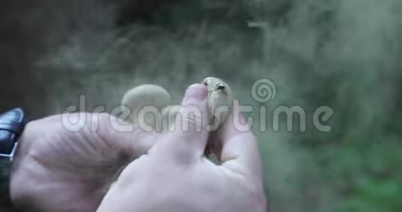 双手挤压蘑菇蘑菇就会爆炸变成灰尘视频的预览图