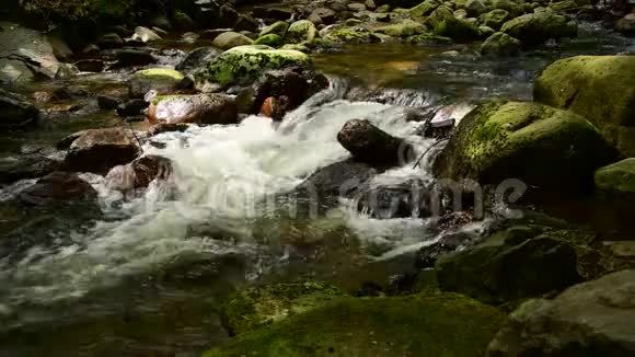 林中山涧的层层流水视频的预览图