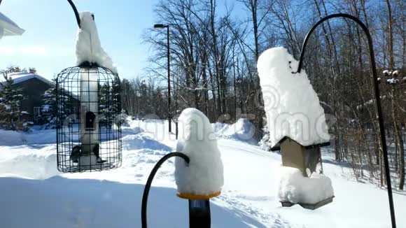 在一个阳光明媚的冬日鸟类饲养者身上覆盖着新的雪和一只鸟在其中一只饲养者中进食视频的预览图